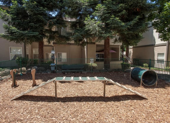 Stanford Heights bark park interior