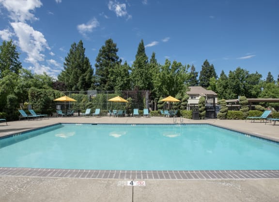 Stanford Heights swimming pool side view
