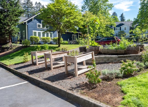 Stillwater community garden, Hillsboro, Oregon, 97124