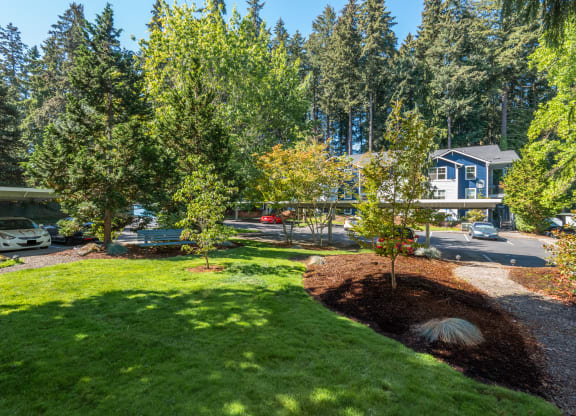 Stillwater community green space, Hillsboro, Oregon, 97124