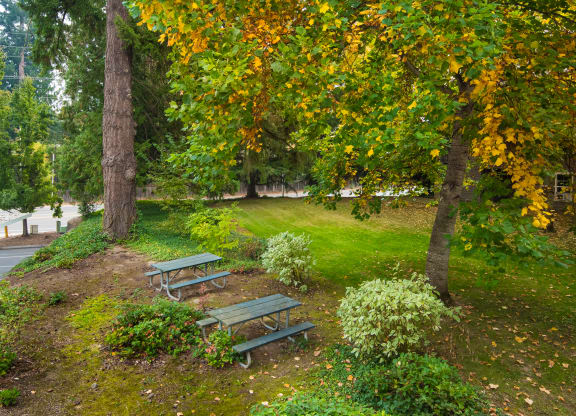 Stillwater picnic area amenity