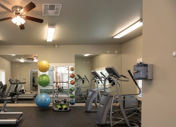Stoneridge Fitness Center cardio machines