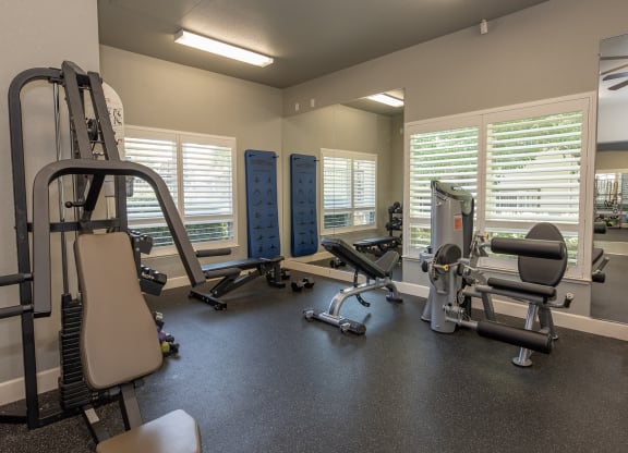 Stoneridge Fitness Center strength machines