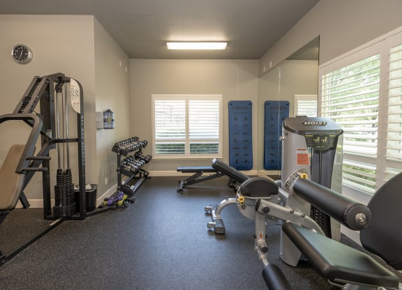 Stoneridge Fitness Center free weights and machines