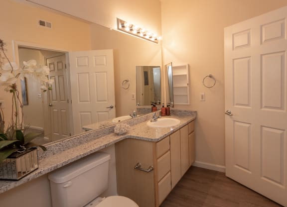 Stoneridge model 1 primary bathroom