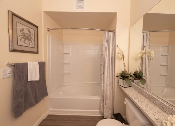 Stoneridge model 1 primary bathroom shower