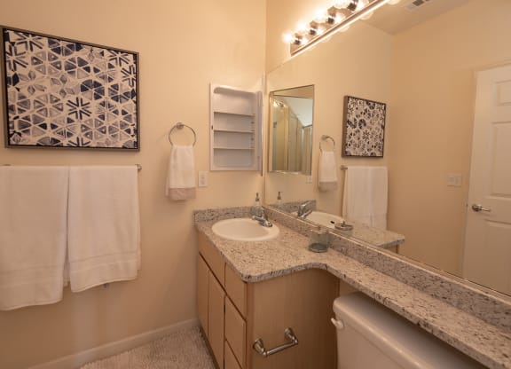 Stoneridge model 2 hall bathroom