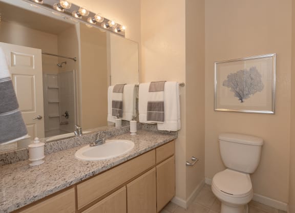 Stoneridge model 2 primary bathroom