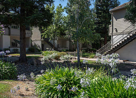 A garden with a variety of plants and trees in front of a building at Sunset Summit, Rocklin, CA, 95765