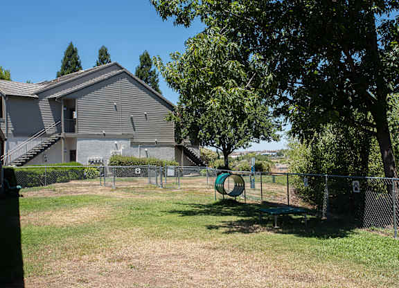 A dog park with a green tunnel and a grey house in the background at Sunset Summit, Rocklin, CA, 95765