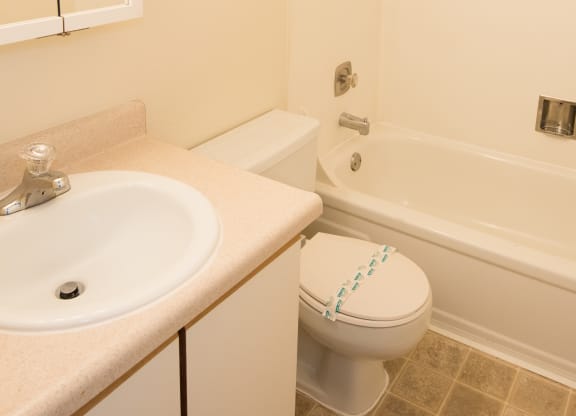 Vacant Apartment Upgraded Bathroom at Todd Village Apartments, OR 97062