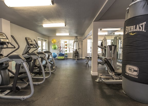Fitness Center Equipment at Woodbridge Apartments, Sacramento, CA