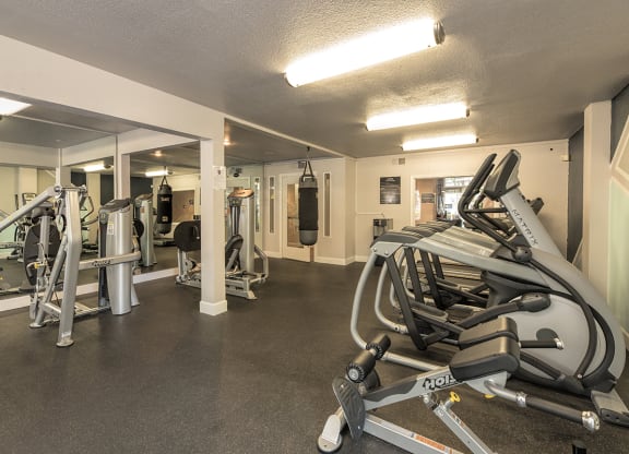 Fitness Center Equipment & Mirrors at Woodbridge Apartments, Sacramento, California 95833