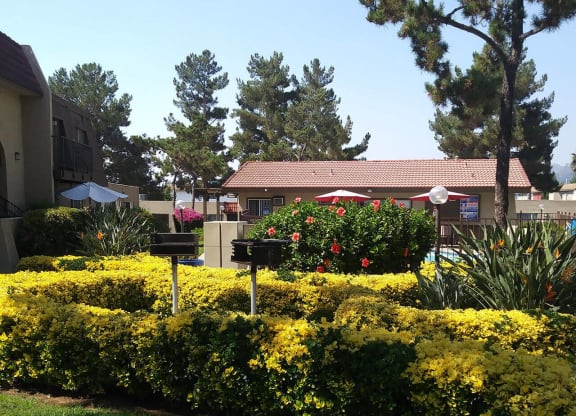 Barbeques and swimming pool surounded by beautiful gardens at Teton Pine Apartments in Escondido, California.