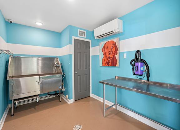 A room with blue walls and a dog painting on the wall.