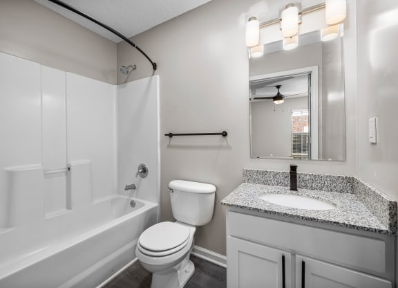 addison point interior home bathroom with a sink toilet and a bath tub