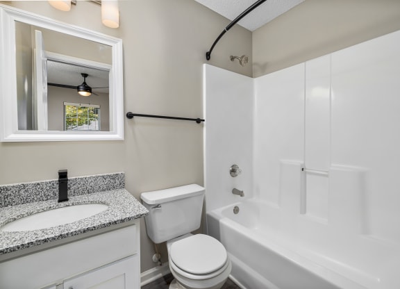 addison point interior home bathroom with a sink toilet and a tub