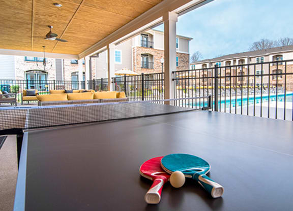 ping pong table