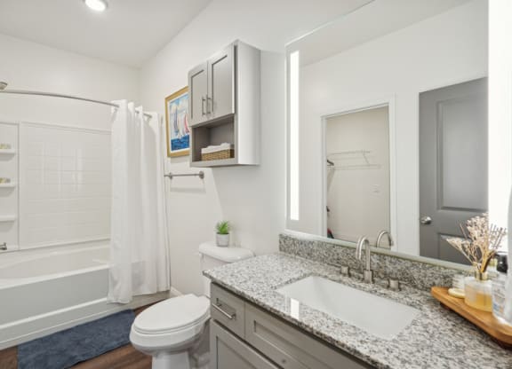 a bathroom with a sink and a toilet and a shower