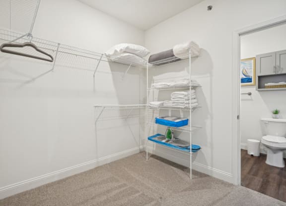 a bathroom with a closet and a toilet and a mirror