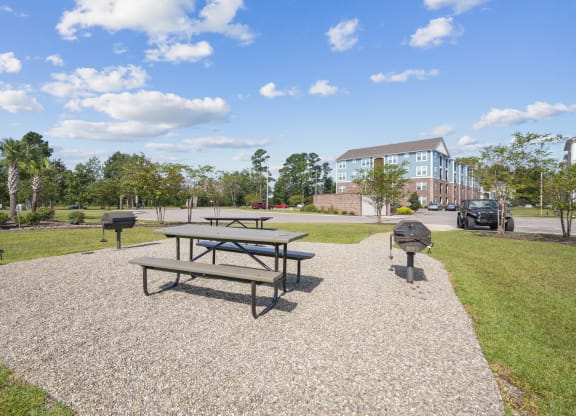 the preserve at ballantyne commons community picnic area with table and grill