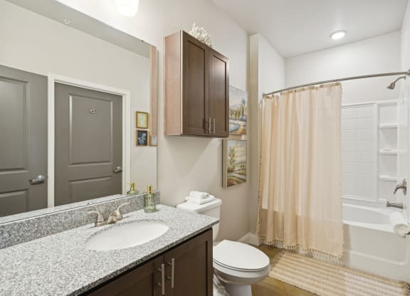 a bathroom with a shower toilet and sink and a mirror