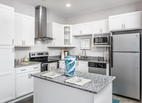 Elevate 54 kitchen