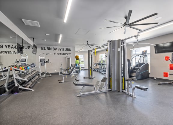 Fitness center with weights and cardio equipment
