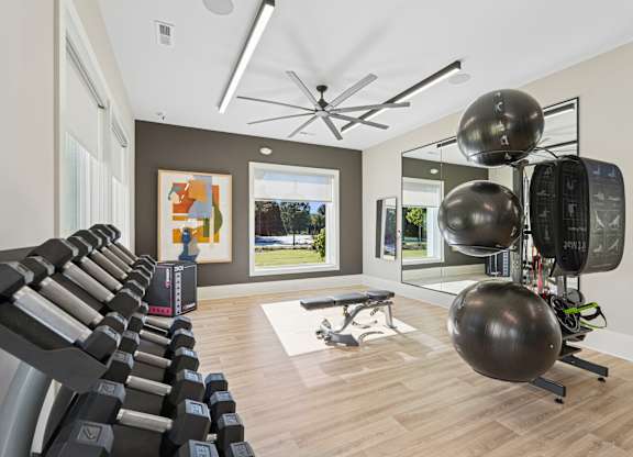 A gym with a row of treadmills, a bench, and exercise balls.
