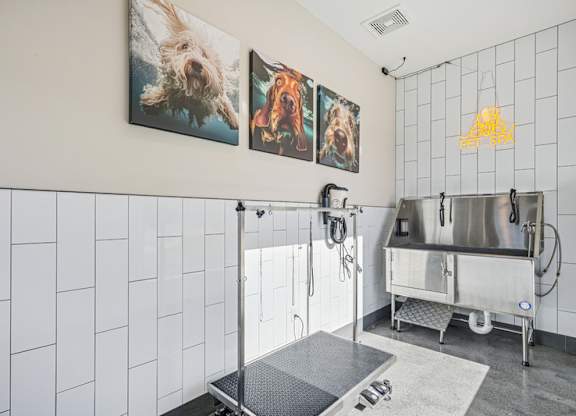 A pet wash room with a sink.