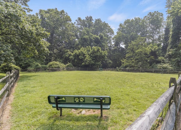 dog park with bench and obstacles