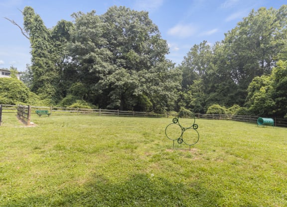 a bike in the middle of a field