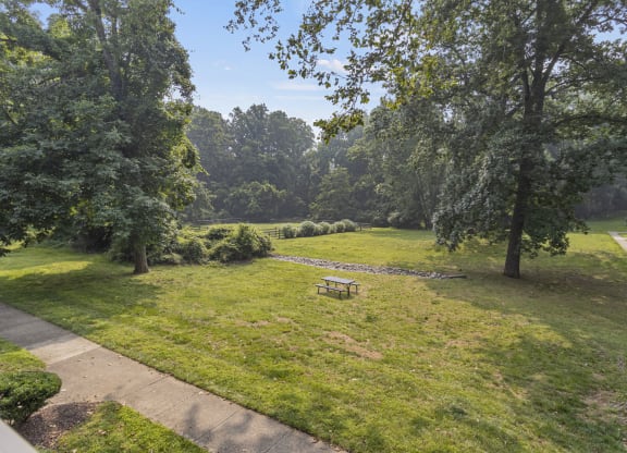 open field with bench and trees
