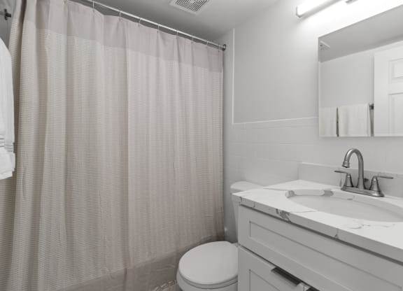 a bathroom with a sink and a toilet