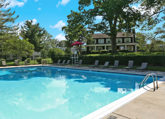 Pool surrounded by trees