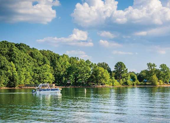 A boat is sailing on a river with a forest in the background.