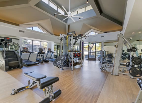 the gym is equipped with a variety of weights and machines