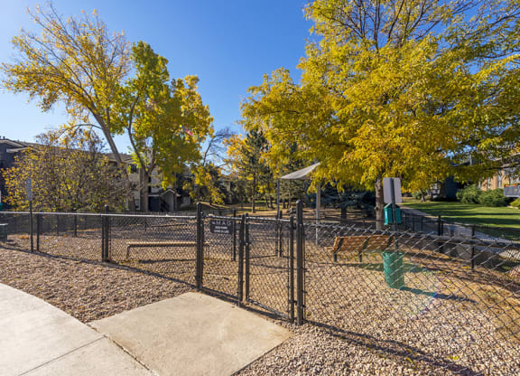the preserve at ballantyne commons dog park