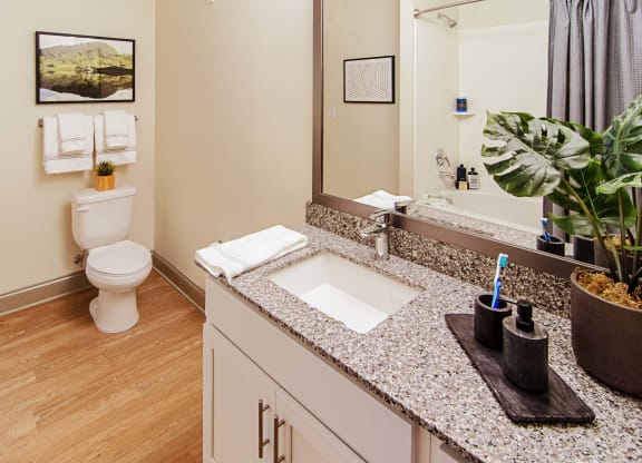 Parkstone at Knightdale Bathroom