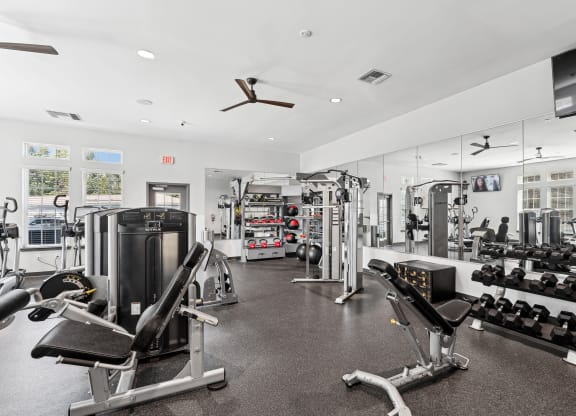 a gym with cardio machines and other exercise equipment