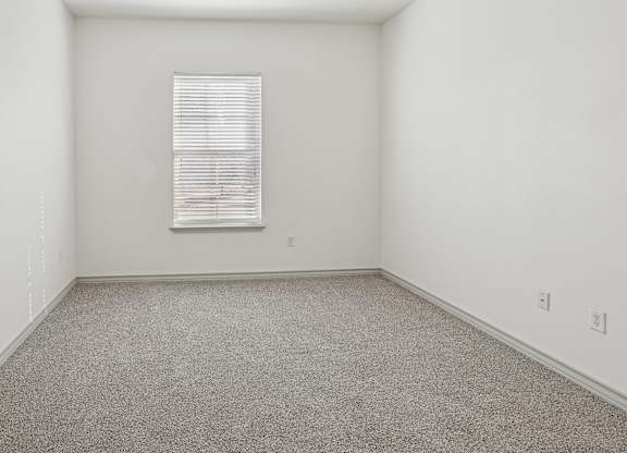 A room with a carpeted floor and a window with blinds.
