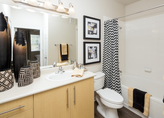 a bathroom with a sink and a toilet and a shower