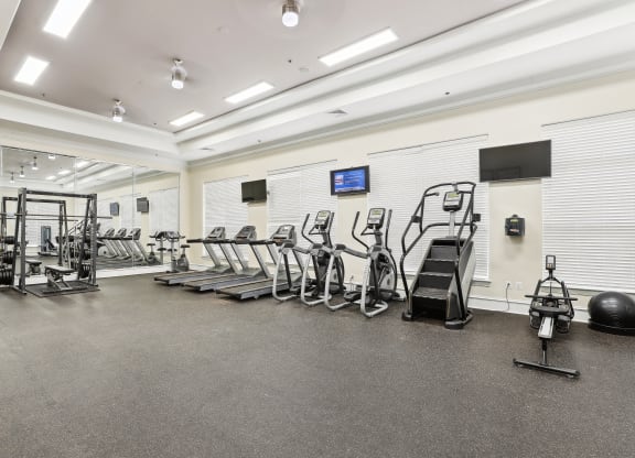 the gym is equipped with cardio equipment and weights