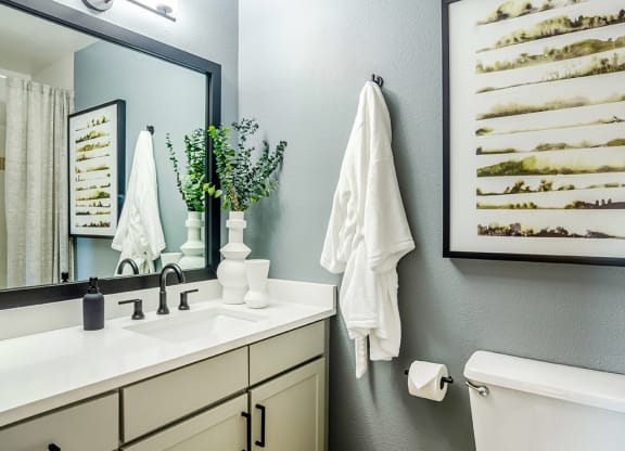 a bathroom with a sink and a mirror and a toilet