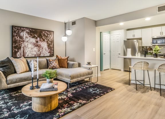 A living room with a couch, a coffee table, and a rug.