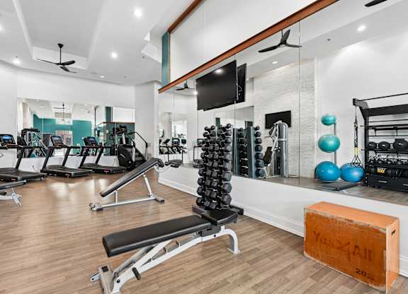 A gym with a variety of equipment including treadmills, weights, and a television.