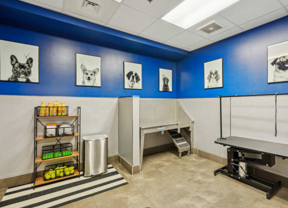 a veterinary exam room with a exam table and a blue wall with pictures of dogs