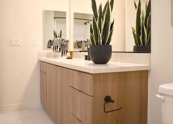 Bathroom vanity with snake plant and dual mirrors at Garden at 3Roots Apartments, California, 92126