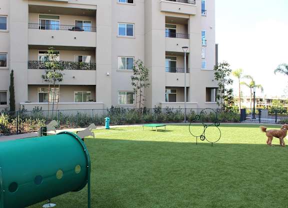 Dog park with agility equipment and synthetic grass at Casa Mira View Apartments, San Diego, California