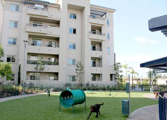 Pet friendly courtyard with dog park and play equipment at Casa Mira View Apartments, San Diego